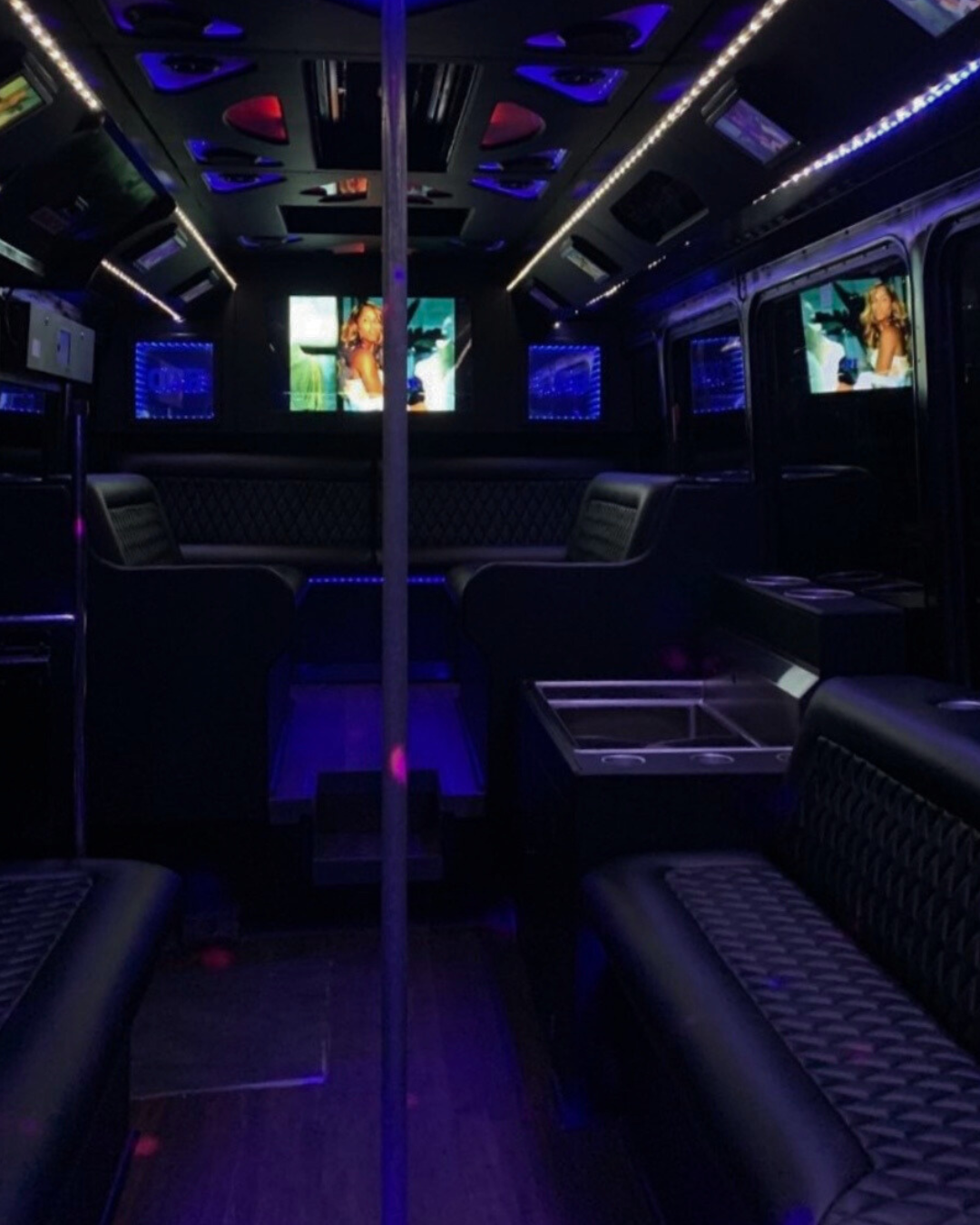 Party Bus Experience